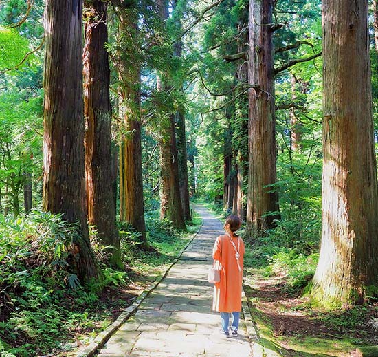 The New Self You Meet in the Ishidan Pilgrimage