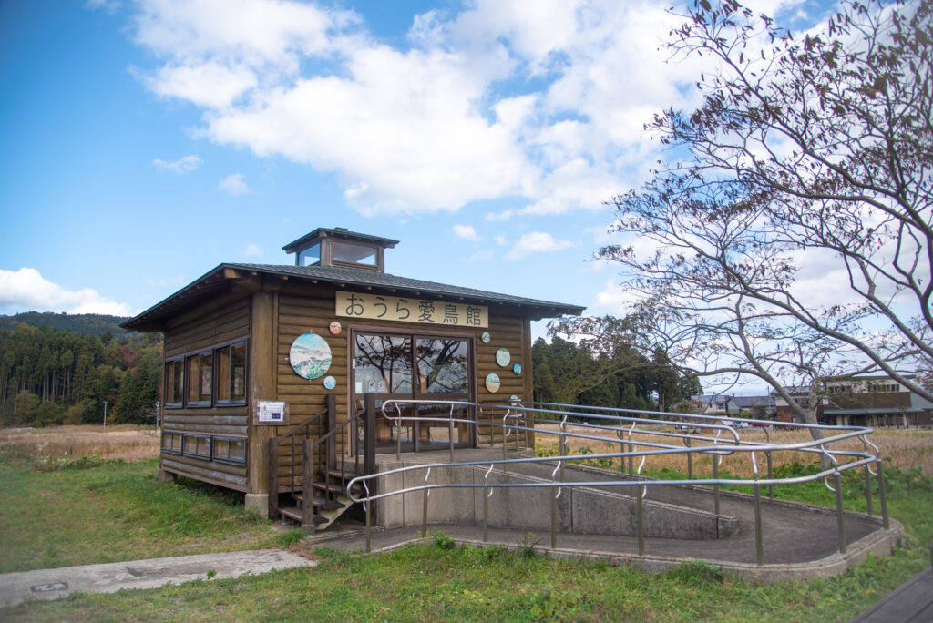 画像に alt 属性が指定されていません。ファイル名: DSC_0803-1024x684.jpg