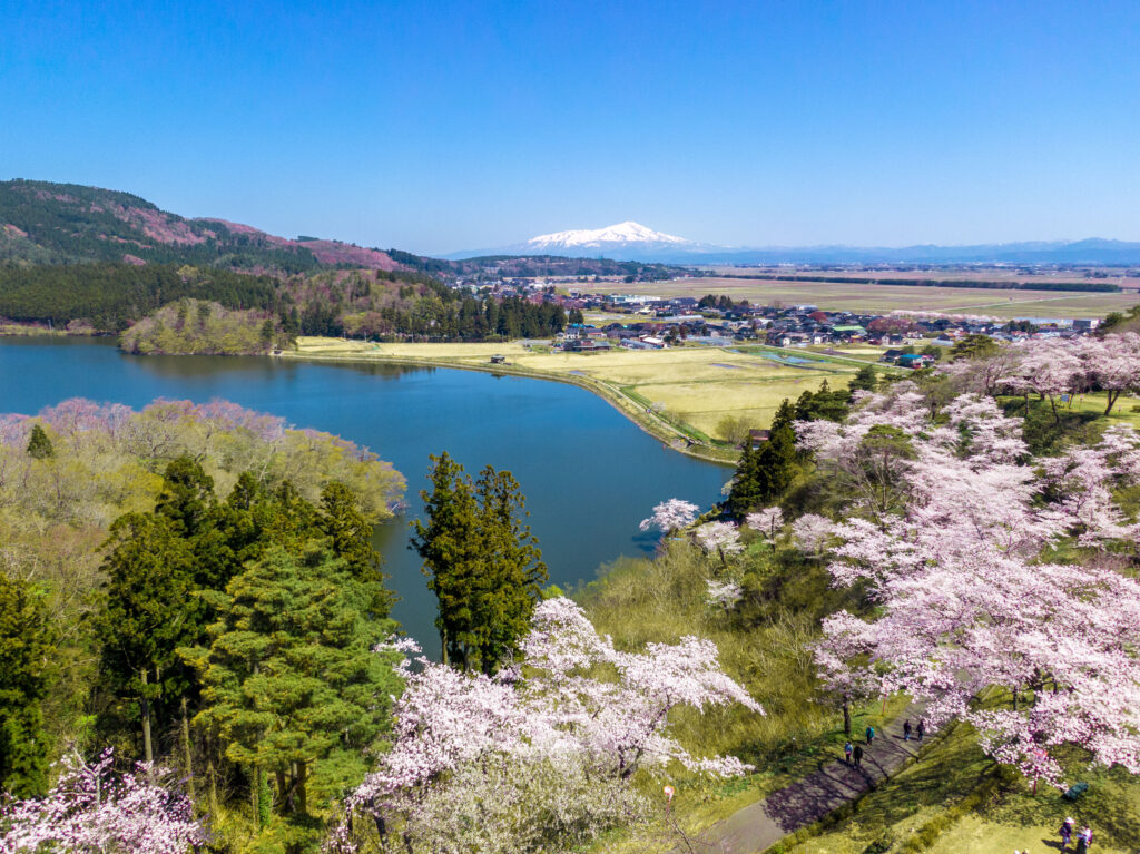 画像に alt 属性が指定されていません。ファイル名: DJI_0369-1024x767.jpg