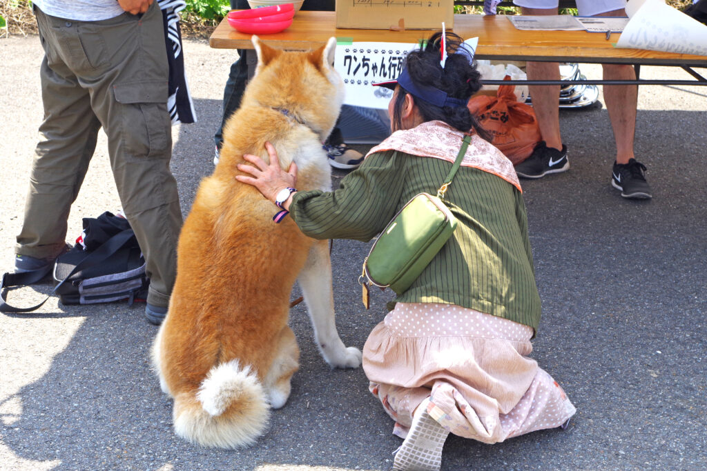 画像に alt 属性が指定されていません。ファイル名: a12f4288a83699de92f2c09741c9fad413409a81-1024x683.jpg